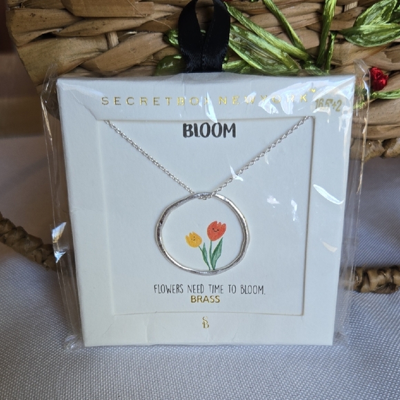 Secretbox New York Jewelry - NIB Silver Circle Pendant Necklace